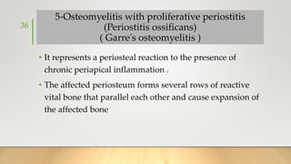 5-Osteomyelitis with proliferative periostitis
(Periostitis ossificans)
( Garre's osteomyelitis )
• It represents a periosteal reaction to the presence of
chronic periapical inflammation .
• The affected periosteum forms several rows of reactive
vital bone that parallel each other and cause expansion of
the affected bone
36
 