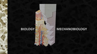 BIOLOGY MECHANOBIOLOGY
 
