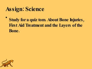 Assign: Science Study for a quiz tom. About Bone Injuries, First Aid Treatment and the Layers of the Bone. 