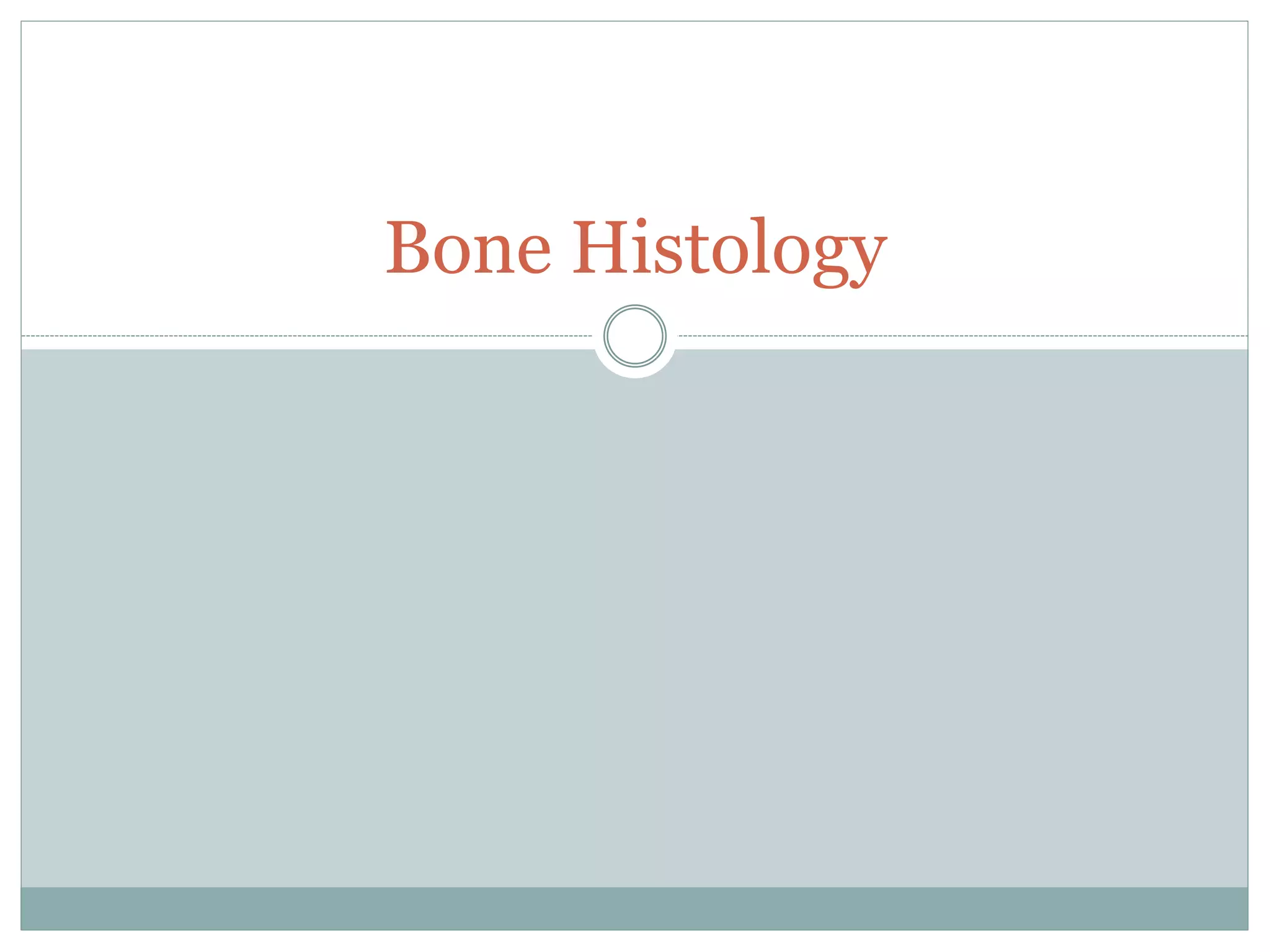 Bone Histology
 