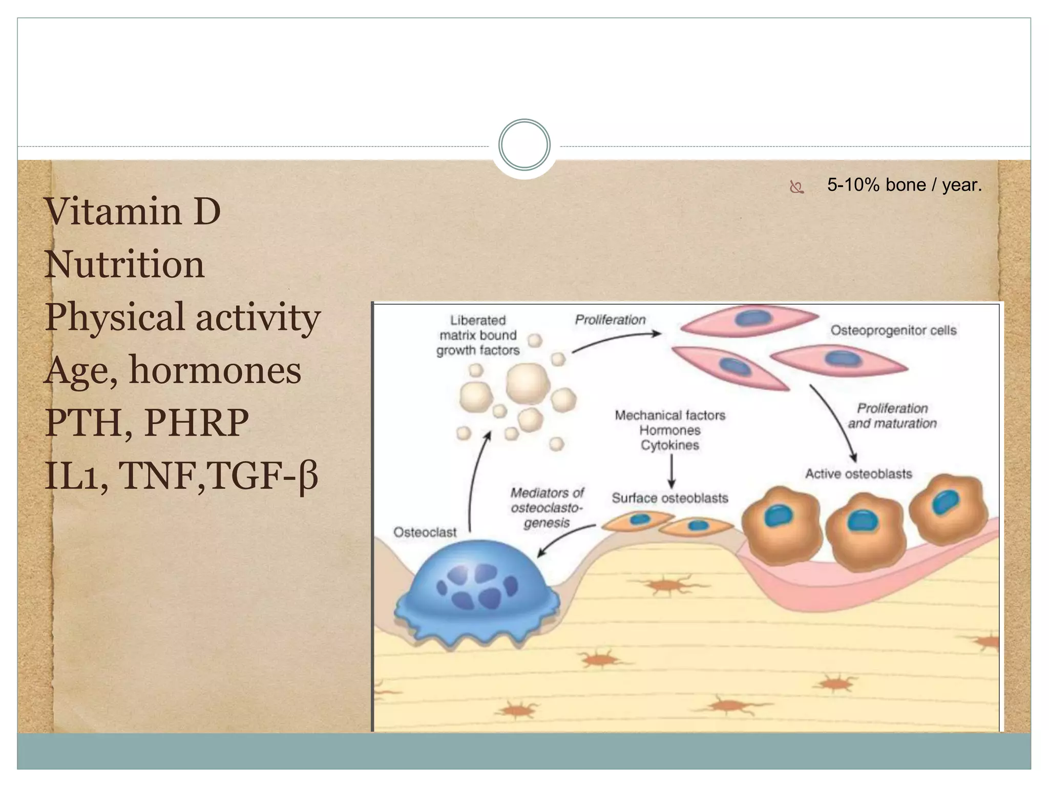 Bone Remodeling
Vitamin D
Nutrition
Physical activity
Age, hormones
PTH, PHRP
IL1, TNF,TGF-β
 5-10% bone / year.
 