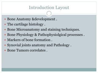 Introduction Layout
 Bone Anatomy &development .
 The cartilage histology .
 Bone Microanatomy and staining techniques.
 Bone Physiology & Pathophysiolgical processes .
 Markers of bone formation .
 Synovial joints anatomy and Pathology .
 Bone Tumors correlates .
 