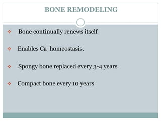 BONE REMODELING
 Bone continually renews itself
 Enables Ca homeostasis.
 Spongy bone replaced every 3-4 years
 Compact bone every 10 years
 
