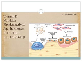Bone Remodeling
Vitamin D
Nutrition
Physical activity
Age, hormones
PTH, PHRP
IL1, TNF,TGF-β
 5-10% bone / year.
 
