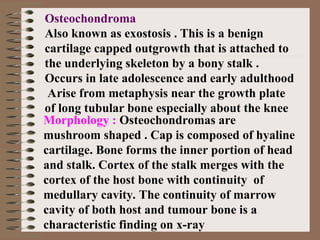 Osteochondroma
Also known as exostosis . This is a benign
cartilage capped outgrowth that is attached to
the underlying skeleton by a bony stalk .
Occurs in late adolescence and early adulthood
Arise from metaphysis near the growth plate
of long tubular bone especially about the knee
Morphology : Osteochondromas are
mushroom shaped . Cap is composed of hyaline
cartilage. Bone forms the inner portion of head
and stalk. Cortex of the stalk merges with the
cortex of the host bone with continuity of
medullary cavity. The continuity of marrow
cavity of both host and tumour bone is a
characteristic finding on x-ray
 