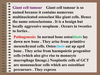 Giant cell tumour Giant cell tumour is so
named because it contains numerous
multinucleated osteoclast like giant cells. Hence
the name osteoclastoma . It is a benign but
locally aggressive neoplasm . Occurs in twenties
to forties .
Pathogenesis: In normal bone osteoblasts lay
down new bone . They arise from primitive
mesenchymal cells. Osteoclasts eat up aged
bone . They arise from haempoietic progenitor
cells (which also give rise to monocyte
macrophage lineage.) Neoplastic cells of GCT
are mononuclear cells which are osteoblast
precursors . They express
 