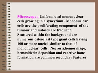 Microscopy : Uniform oval mononuclear
cells growing in a syncytium . Mononuclear
cells are the proliferating component of the
tumour and mitoses are frequent .
Scattered within the background are
numerous osteoclast type giant cells having
100 or more nuclei similar to that of
mononuclear cells . Necrosis,hemorrhage,
hemosiderin deposition and reactive bone
formation are common secondary features
 