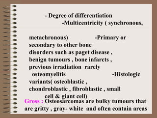- Degree of differentiation
-Multicentricity ( synchronous,
metachronous) -Primary or
secondary to other bone
disorders such as paget disease ,
benign tumours , bone infarcts ,
previous irradiation rarely
osteomyelitis -Histologic
variants( osteoblastic ,
chondroblastic , fibroblastic , small
cell & giant cell)
Gross : Osteosarcomas are bulky tumours that
are gritty , gray- white and often contain areas
 