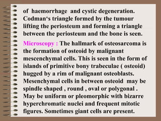 of haemorrhage and cystic degeneration.
Codman‘s triangle formed by the tumour
lifting the periosteum and forming a triangle
between the periosteum and the bone is seen.
Microscopy : The hallmark of osteosarcoma is
the formation of osteoid by malignant
mescenchymal cells. This is seen in the form of
islands of primitive bony trabeculae ( osteoid)
hugged by a rim of malignant osteoblasts.
Mesenchymal cells in between osteoid may be
spindle shaped , round , oval or polygonal .
May be uniform or pleomorphic with bizarre
hyperchromatic nuclei and frequent mitotic
figures. Sometimes giant cells are present.
 