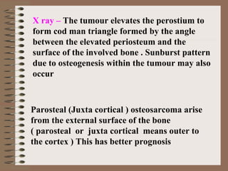 X ray – The tumour elevates the perostium to
form cod man triangle formed by the angle
between the elevated periosteum and the
surface of the involved bone . Sunburst pattern
due to osteogenesis within the tumour may also
occur
Parosteal (Juxta cortical ) osteosarcoma arise
from the external surface of the bone
( parosteal or juxta cortical means outer to
the cortex ) This has better prognosis
 