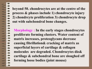 beyond 50. chondrocytes are at the centre of the
process & phases include 1) chondrocyte injury
2) chondrcyte proliferation 3) chondrocyte drop
out with subchondral bone changes.
Morphology : In the early stages chondrocytes
proliferate forming clusters. Water content of
matrix increases, proteoglycans decrease
causing fibrillation& cracking of matrix as
superficial layers of cartilage & collagen
molecules are degraded. Chondrocytes die&
cartilage & subchondral bone are sloughed off
forming loose bodies (joint mouse)
 