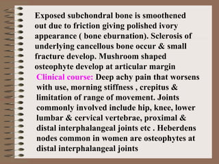 Exposed subchondral bone is smoothened
out due to friction giving polished ivory
appearance ( bone eburnation). Sclerosis of
underlying cancellous bone occur & small
fracture develop. Mushroom shaped
osteophyte develop at articular margin
Clinical course: Deep achy pain that worsens
with use, morning stiffness , crepitus &
limitation of range of movement. Joints
commonly involved include hip, knee, lower
lumbar & cervical vertebrae, proximal &
distal interphalangeal joints etc . Heberdens
nodes common in women are osteophytes at
distal interphalangeal joints
 