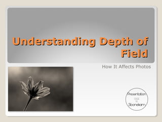 Understanding Depth of
                 Field
              How It Affects Photos
 
