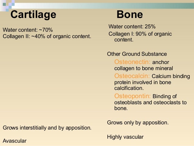 Bone lecture