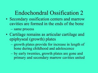 Sification Process Bone_lecture_medical_2013.ppt