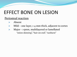 EFFECT BONE ON LESION
Periosteal reaction
 Absent
 Mild – one layer, 1-4 mm thick, adjacent to cortex
 Major - >5mm, multilayered or lamellated
“onion-skinning”, “hair-on-end”, “sunburst”
 