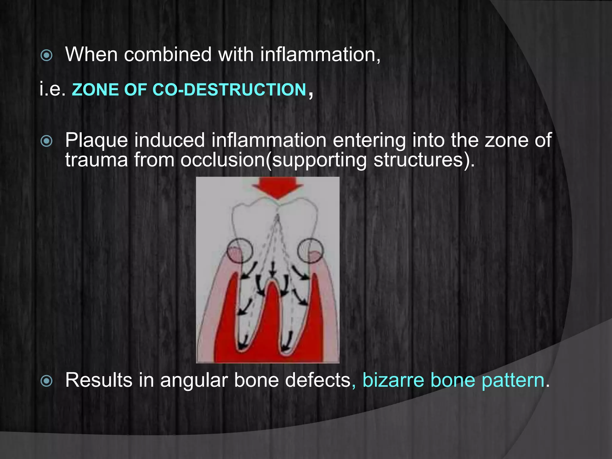  When combined with inflammation,
i.e. ZONE OF CO-DESTRUCTION,
 Plaque induced inflammation entering into the zone of
trauma from occlusion(supporting structures).
 Results in angular bone defects, bizarre bone pattern.
 