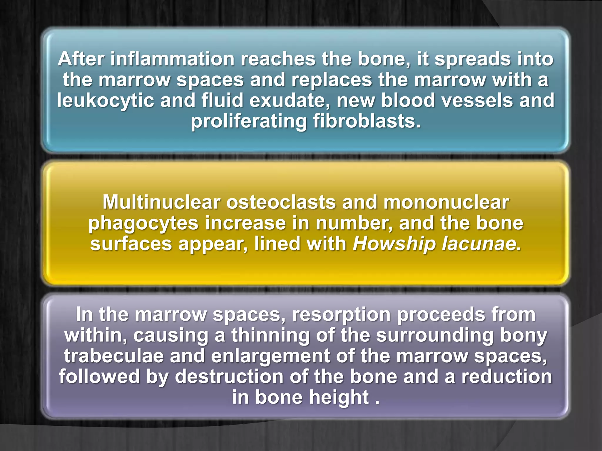 After inflammation reaches the bone, it spreads into
the marrow spaces and replaces the marrow with a
leukocytic and fluid exudate, new blood vessels and
proliferating fibroblasts.
Multinuclear osteoclasts and mononuclear
phagocytes increase in number, and the bone
surfaces appear, lined with Howship lacunae.
In the marrow spaces, resorption proceeds from
within, causing a thinning of the surrounding bony
trabeculae and enlargement of the marrow spaces,
followed by destruction of the bone and a reduction
in bone height .
 