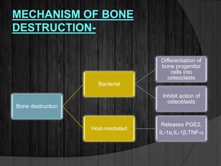 MECHANISM OF BONE
DESTRUCTION-
Bone destruction
Bacterial
Differentiation of
bone progenitor
cells into
osteoclasts
Inhibit action of
osteoblasts
Host-mediated
Releases PGE2,
IL-1α,IL-1β,TNF-α
 