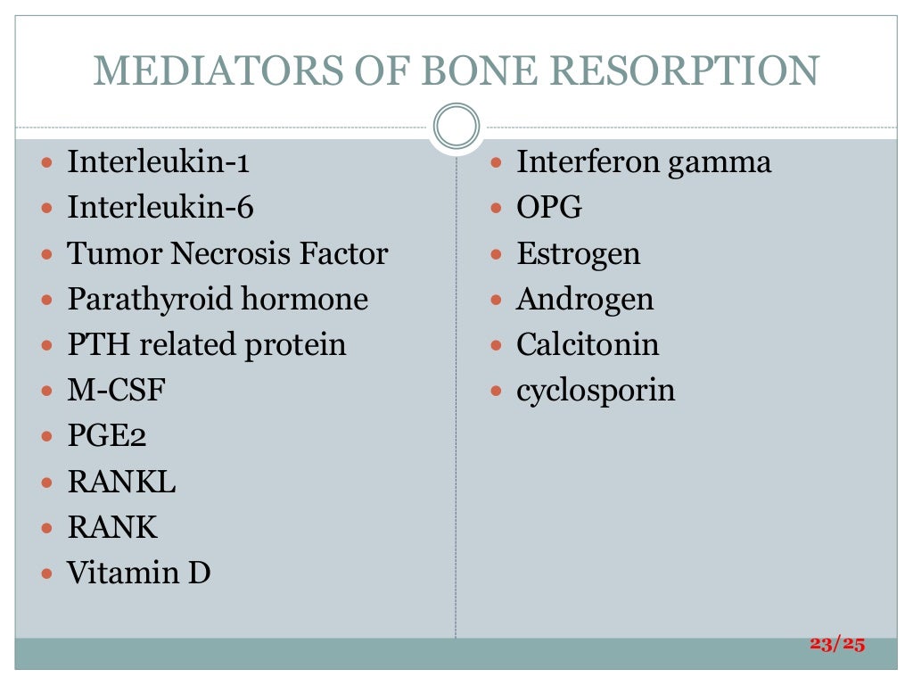 Bone loss thesis 04 image
