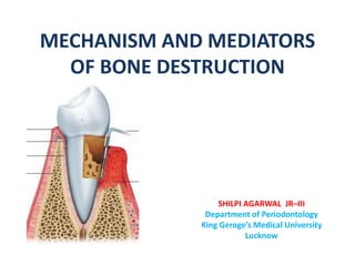 MECHANISM AND MEDIATORS
OF BONE DESTRUCTION
SHILPI AGARWAL JR–III
Department of Periodontology
King Geroge’s Medical University
Lucknow
 
