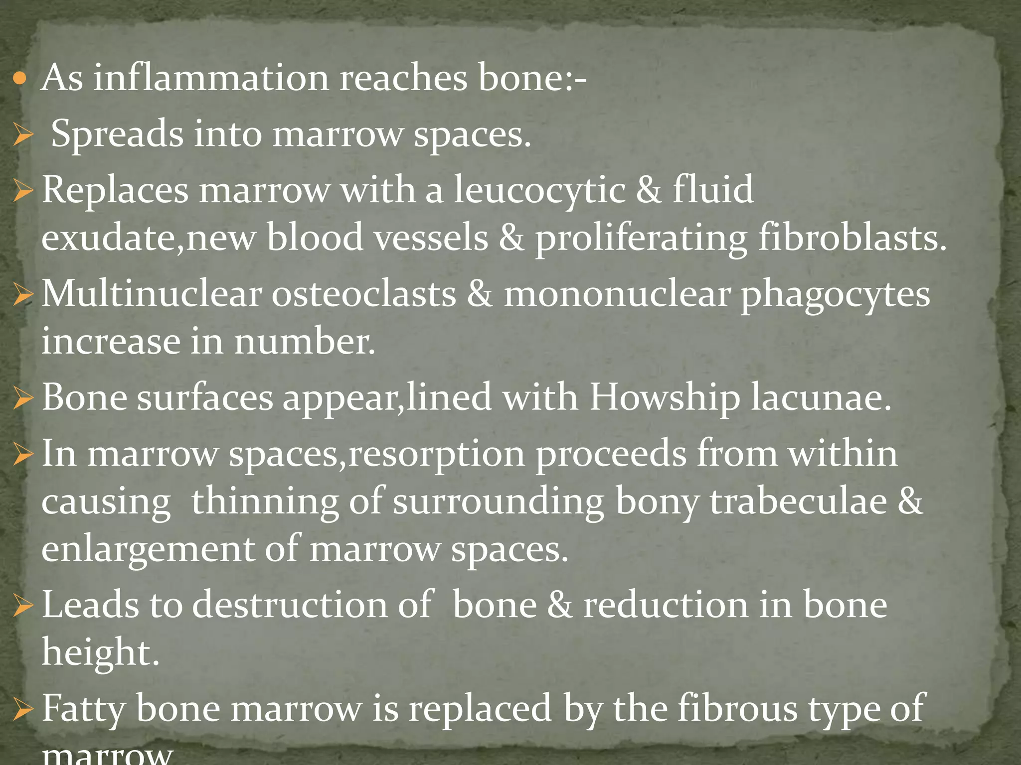  As inflammation reaches bone:-
 Spreads into marrow spaces.
Replaces marrow with a leucocytic & fluid
exudate,new blood vessels & proliferating fibroblasts.
Multinuclear osteoclasts & mononuclear phagocytes
increase in number.
Bone surfaces appear,lined with Howship lacunae.
In marrow spaces,resorption proceeds from within
causing thinning of surrounding bony trabeculae &
enlargement of marrow spaces.
Leads to destruction of bone & reduction in bone
height.
Fatty bone marrow is replaced by the fibrous type of
 