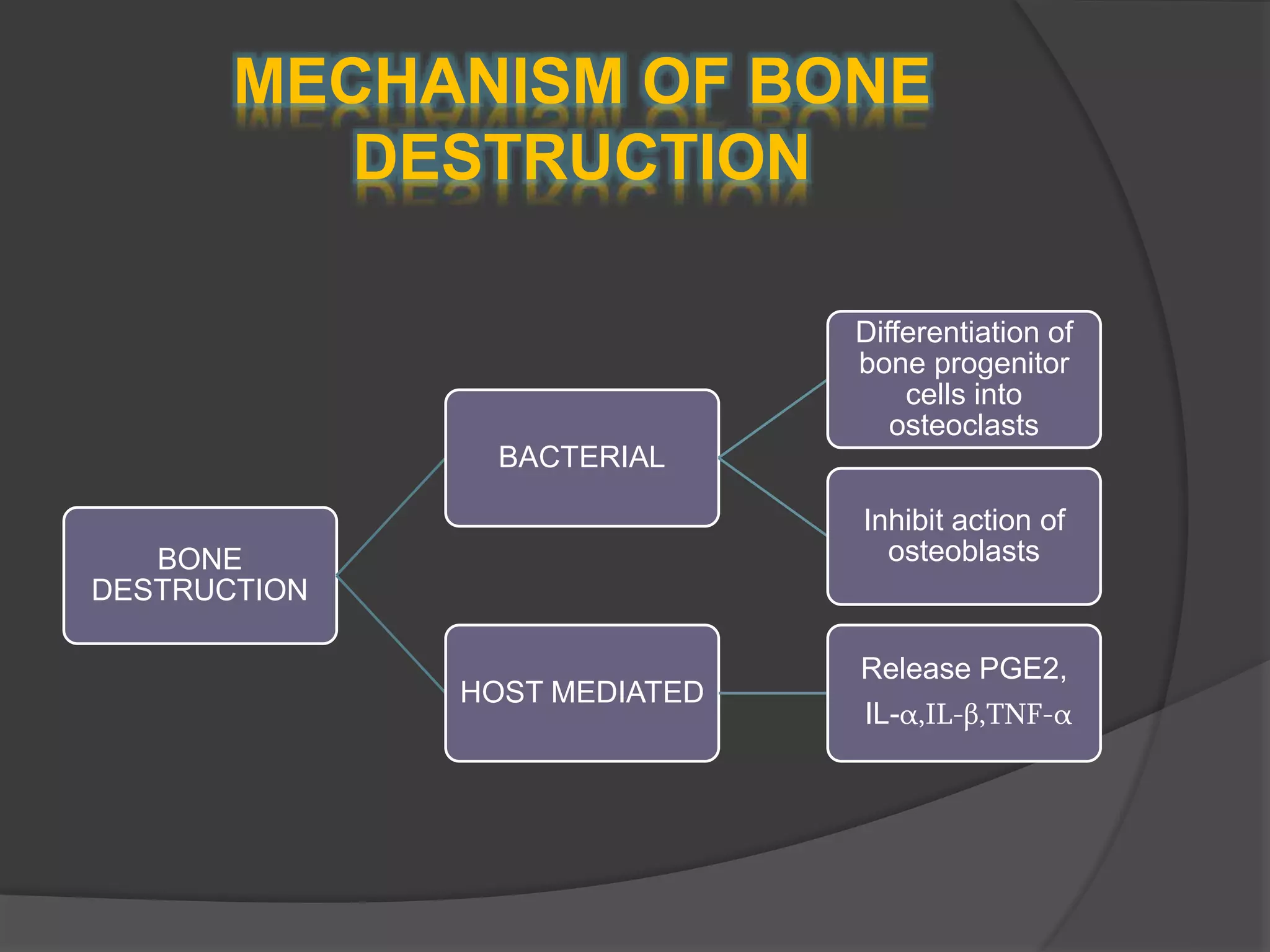MECHANISM OF BONE
DESTRUCTION
BONE
DESTRUCTION
BACTERIAL
Differentiation of
bone progenitor
cells into
osteoclasts
Inhibit action of
osteoblasts
HOST MEDIATED
Release PGE2,
IL-α,IL-β,TNF-α
 
