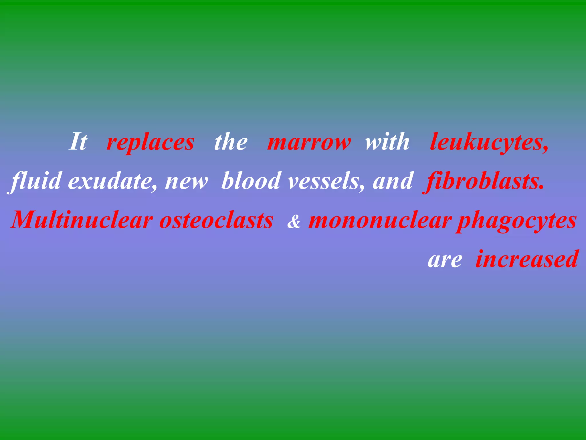 It replaces the marrow with leukucytes,
fluid exudate, new blood vessels, and fibroblasts.
Multinuclear osteoclasts & mononuclear phagocytes
are increased
 