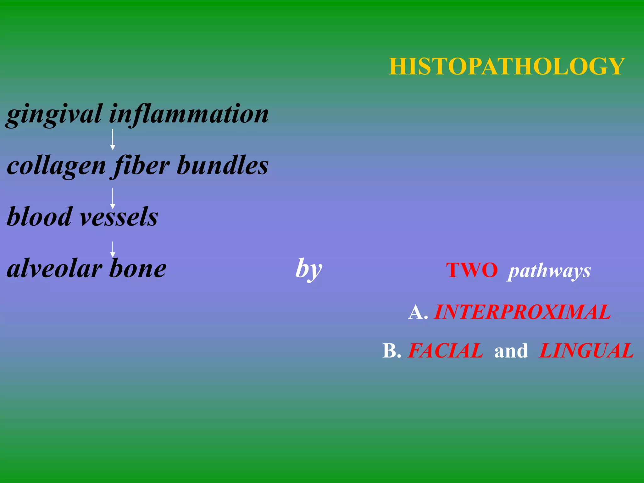 HISTOPATHOLOGY
gingival inflammation
collagen fiber bundles
blood vessels
alveolar bone by TWO pathways
A. INTERPROXIMAL
B. FACIAL and LINGUAL
 