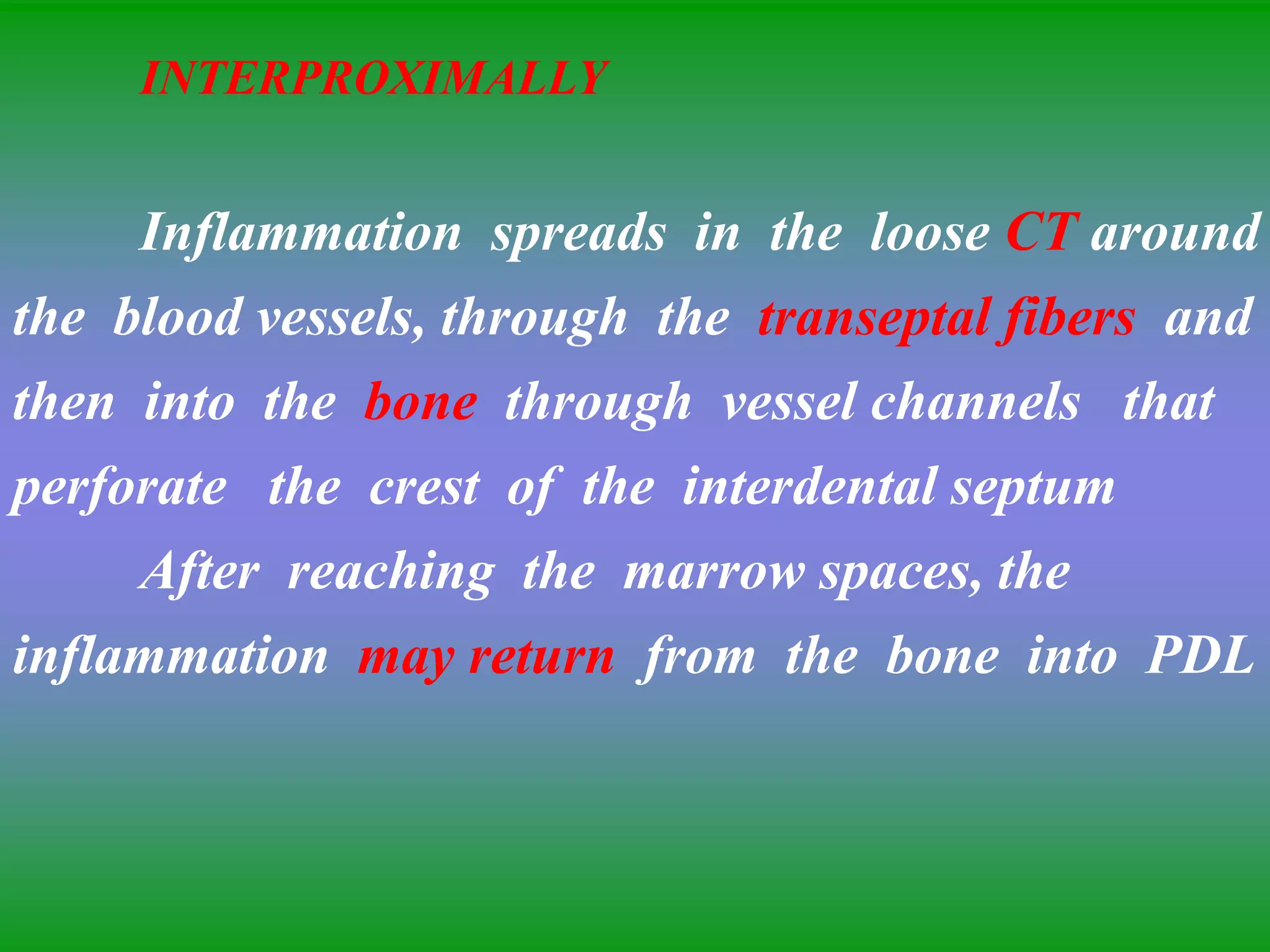 INTERPROXIMALLY
Inflammation spreads in the loose CT around
the blood vessels, through the transeptal fibers and
then into the bone through vessel channels that
perforate the crest of the interdental septum
After reaching the marrow spaces, the
inflammation may return from the bone into PDL
 