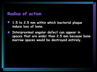 Radius of action 1.5 to 2.5 mm within which bacterial plaque induce loss of bone. Interproximal angular defect can appear in spaces that are wider than 2.5 mm because bone marrow spaces would be destroyed entirely. 