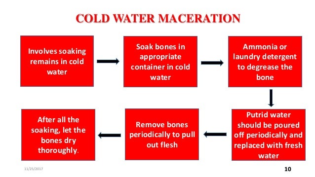 Bone maceration