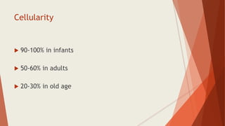 Cellularity
 90-100% in infants
 50-60% in adults
 20-30% in old age
 
