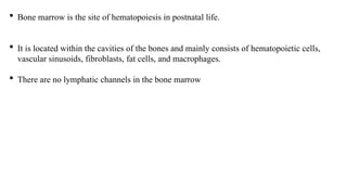  Bone marrow is the site of hematopoiesis in postnatal life.
 It is located within the cavities of the bones and mainly consists of hematopoietic cells,
vascular sinusoids, fibroblasts, fat cells, and macrophages.
 There are no lymphatic channels in the bone marrow
 