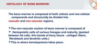 HISTOLOGY OF BONE MARROW:
The bone marrow is composed of both cellular and non-cellular
components and structurally be divided into
vascular and non-vascular regions.
The non-vascular section of bone marrow is composed of
 Hemopoietic cells of various lineages and maturity, (packed
between fat cells, thin bands of bony tissue , collagen fibers,
fibroblasts and dendritic cells.)
This is where hematopoiesis takes place.
 
