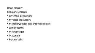Bone marrow:
Cellular elements-
• Erythroid precursors
• Myeloid precursors
• Megakaryocytes and thrombopoiesis
• Lymphocytes
• Macrophages
• Mast cells
• Plasma cells
 