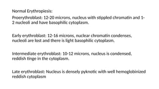Normal Erythropiesis:
Proerythroblast: 12-20 microns, nucleus with stippled chromatin and 1-
2 nucleoli and have basophilic cytoplasm.
Early erythroblast: 12-16 microns, nuclear chromatin condenses,
nucleoli are lost and there is light basophilic cytoplasm.
Intermediate erythroblast: 10-12 microns, nucleus is condensed,
reddish tinge in the cytoplasm.
Late erythroblast: Nucleus is densely pyknotic with well hemoglobinized
reddish cytoplasm
 