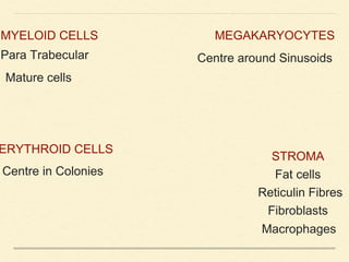 MYELOID CELLS MEGAKARYOCYTES
ERYTHROID CELLS
STROMA
Para Trabecular
Mature cells
Centre around Sinusoids
Centre in Colonies Fat cells
Reticulin Fibres
Fibroblasts
Macrophages
 