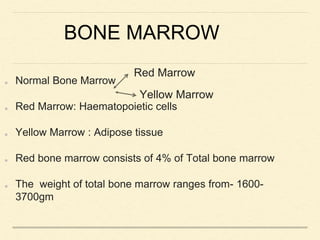 BONE MARROW
Normal Bone Marrow
Red Marrow: Haematopoietic cells
Yellow Marrow : Adipose tissue
Red bone marrow consists of 4% of Total bone marrow
The weight of total bone marrow ranges from- 1600-
3700gm
Red Marrow
Yellow Marrow
 
