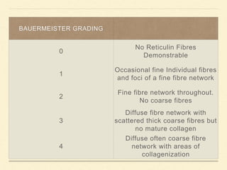 BAUERMEISTER GRADING
0
No Reticulin Fibres
Demonstrable
1
Occasional fine Individual fibres
and foci of a fine fibre network
2
Fine fibre network throughout.
No coarse fibres
3
Diffuse fibre network with
scattered thick coarse fibres but
no mature collagen
4
Diffuse often coarse fibre
network with areas of
collagenization
 