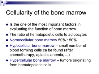 Bone_marrow_and_blood_2020.pdf bone marrow ppt | PDF
