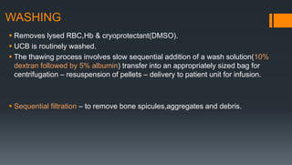 Lifeserve Washed Rbcs Unit Bone marrow and peripheral Hematopoietic stem cell collection and ...