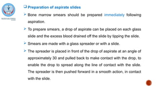  Preparation of aspirate slides
 Bone marrow smears should be prepared immediately following
aspiration.
 To prepare smears, a drop of aspirate can be placed on each glass
slide and the excess blood drained off the slide by tipping the slide.
 Smears are made with a glass spreader or with a slide.
 The spreader is placed in front of the drop of aspirate at an angle of
approximately 30 and pulled back to make contact with the drop, to
enable the drop to spread along the line of contact with the slide.
The spreader is then pushed forward in a smooth action, in contact
with the slide.
 