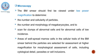  Microscopy
 The BM smear should first be viewed under low power
magnification to determine:
 the number and cellularity of particles.
 the number and morphology of megakaryocytes, and to
 scan for clumps of abnormal cells and for abnormal cells of low
incidence.
 Areas of well-spread marrow cells in the cellular trails of the BM
smear behind the particles are selected for assessment at higher
magnification for morphological assessment of cells, including
cytological detail, parasites or cell inclusions.
 