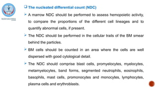  The nucleated differential count (NDC)
 A marrow NDC should be performed to assess hemopoietic activity,
to compare the proportions of the different cell lineages and to
quantify abnormal cells, if present.
 The NDC should be performed in the cellular trails of the BM smear
behind the particles.
 BM cells should be counted in an area where the cells are well
dispersed with good cytological detail.
 The NDC should comprise blast cells, promyelocytes, myelocytes,
metamyelocytes, band forms, segmented neutrophils, eosinophils,
basophils, mast cells, promonocytes and monocytes, lymphocytes,
plasma cells and erythroblasts.
 