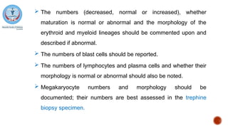  The numbers (decreased, normal or increased), whether
maturation is normal or abnormal and the morphology of the
erythroid and myeloid lineages should be commented upon and
described if abnormal.
 The numbers of blast cells should be reported.
 The numbers of lymphocytes and plasma cells and whether their
morphology is normal or abnormal should also be noted.
 Megakaryocyte numbers and morphology should be
documented; their numbers are best assessed in the trephine
biopsy specimen.
 