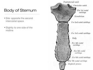 Body of Sternum
• Site: opposite the second
intercostal space
• Slightly to one side of the
midline
 