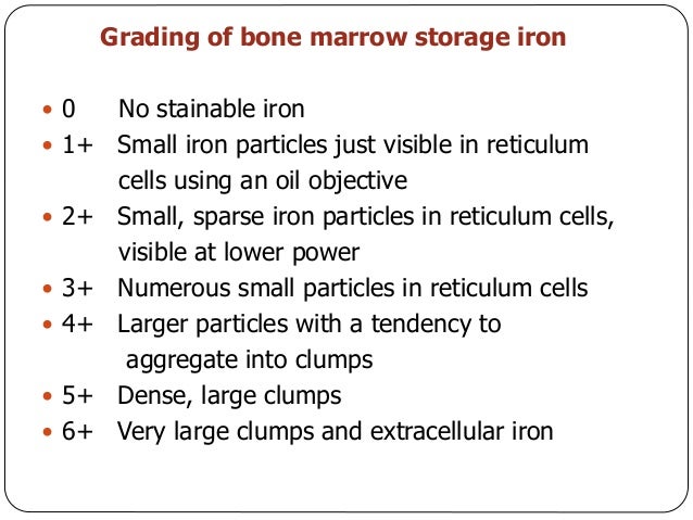 Bone marrow biopsy