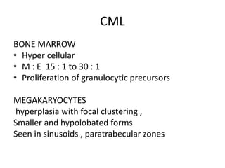 CML
BONE MARROW
• Hyper cellular
• M : E 15 : 1 to 30 : 1
• Proliferation of granulocytic precursors
MEGAKARYOCYTES
hyperplasia with focal clustering ,
Smaller and hypolobated forms
Seen in sinusoids , paratrabecular zones
 