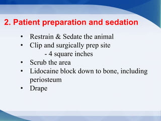 2. Patient preparation and sedation
• Restrain & Sedate the animal
• Clip and surgically prep site
- 4 square inches
• Scrub the area
• Lidocaine block down to bone, including
periosteum
• Drape
 
